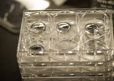 Lithium Battery Testing